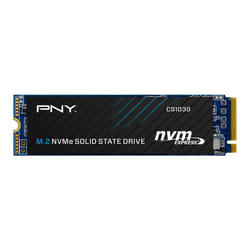 PNY CS1030 M.2 1 To PCI Express 3.0 3D NAND NVMe