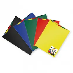 Protège Documents OfficePlast Evidence 200 Vues Assortis-réf :1500502V200C1