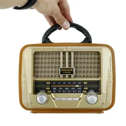 Radio FM Bluetooth Meier M-1803BT Marron