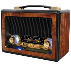 Radio FM MEIER Sans Fil M1916BT - Marron