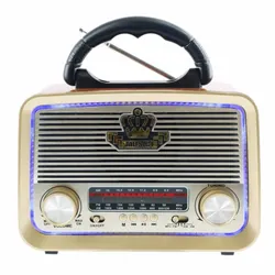Radio FM Portable ST-1085BT Bois