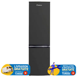 Réfrigérateur Combiné BIOLUX 287L De Frost - Gris - CB38SAS