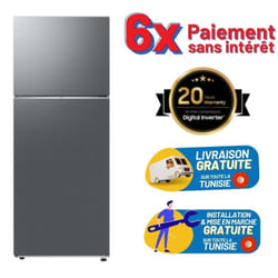 Réfrigérateur Samsung RT42 415L No Frost Inverter Silver