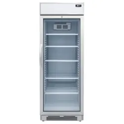 Réfrigérateur Vitrine MontBlanc VFP41BL 470 Litres Silver