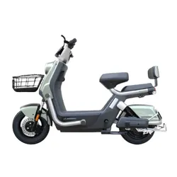 Scooter Électrique Ecoride Alpha 1000 Watts Vert Claire
