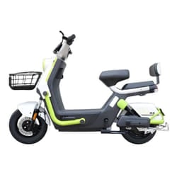 Scooter Électrique Ecoride Alpha 1000 Watts Vert Pistache