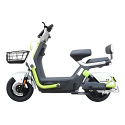 Scooter Électrique Ecoride Alpha 1000 Watts Vert Pistache