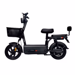 Scooter Électrique Ecoride Zen 600 Watts Noir
