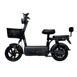 Scooter Électrique Ecoride Zen 600 Watts Noir