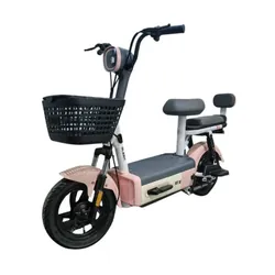 Scooter Électrique Ecoride Zen 600 Watts Rose & Gris