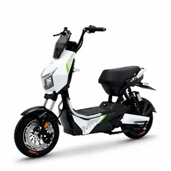Scooter Électrique Wattgo WG016 1000W Blanc