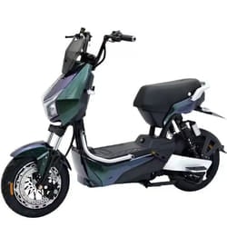 Scooter Électrique Wattgo WG016 1000W Bleu
