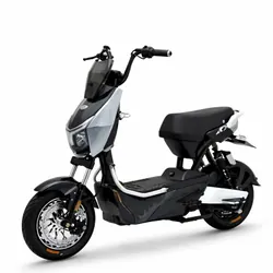Scooter Électrique Wattgo WG016 1000W Gris