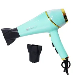 Sèche Cheveux Professionnel Florence HK460 2200W Vert