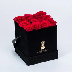 Sensibilité Velours Roses Rouge