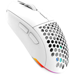 Souris Gamer RGB Double Mode Blanc AQIRYS TGA Alpha