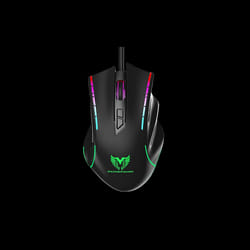 Souris Gaming sans fil RGB noir WM1051