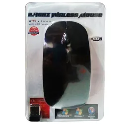 Souris Optique Sans Fil 201 - Noir