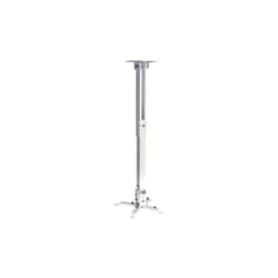 Support Pour VidéoProjecteur Telon 43-65 cm