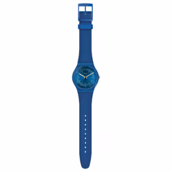 Swatch Cyderalblue
