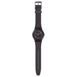 Swatch Intercyderal - Vue supplémentaire 2