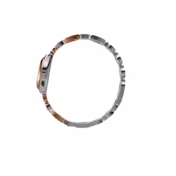 Swatch Lady Passion - Vue supplémentaire 3