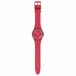 Swatch Ruby Rings