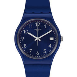 Swatch Silver In Blue