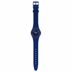 Swatch Silver In Blue