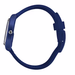 Swatch Silver In Blue
