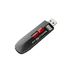 Team Group C212 lecteur USB flash 256 Go USB Type-A 3.2 Gen 2 (3.1 Gen 2) Noir