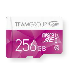 Team Group Color Card 256 Go MicroSDXC UHS-I