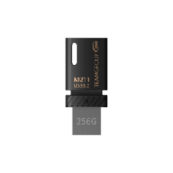 Team Group M211 lecteur USB flash 256 Go USB Type-C 3.2 Gen 1 (3.1 Gen 1) Noir