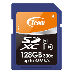 Team Group SDXC 128GB 128 Go Classe 10