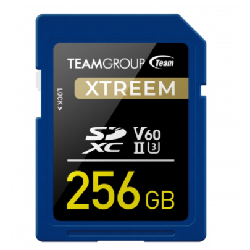 Team Group XTREEM 256 Go SDXC UHS-II