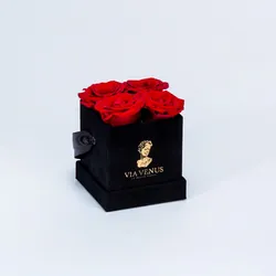 Tendresse Velours Roses Rouge