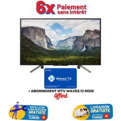 TV Sony 50" Full HD Smart Noir (50WF665)