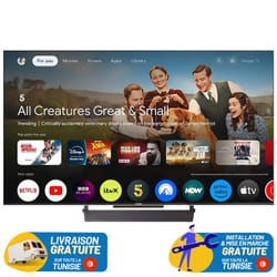 TV TELEFUNKEN 75" QLED TELEFUNKEN G4E  GOOGLE TV 4K - RECEPTEUR INTEGREE MAT