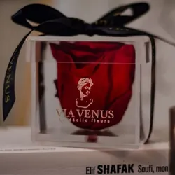 Valentina Square I 1 Roses Rouges