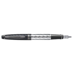 Waterman Expert stylo-plume