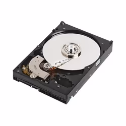 Western Digital 320GB 3.5" SATA II 3.5" 320 Go Série ATA II