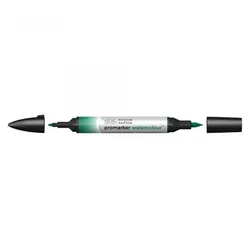 Winsor & Newton Promarker Watercolour marqueurPointe du marqueur/fine Vert