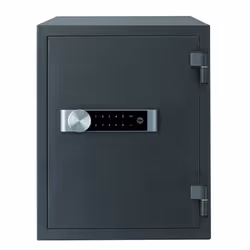 Yale YFM/520/FG2