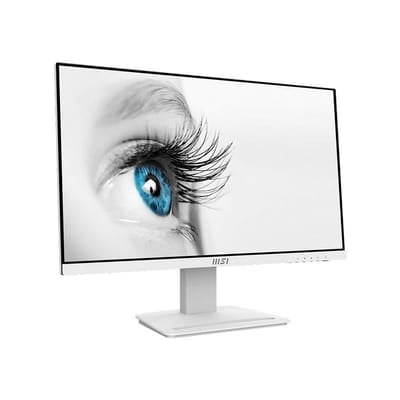 MSI Pro MP243W, Vue principale