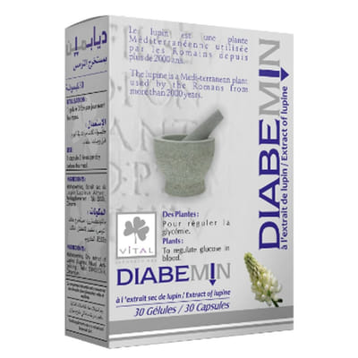 Vital Diabemin Boite de 30, Vue principale