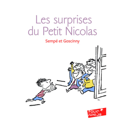 ISBN Les surprises du Petit Nicolas, Vue principale
