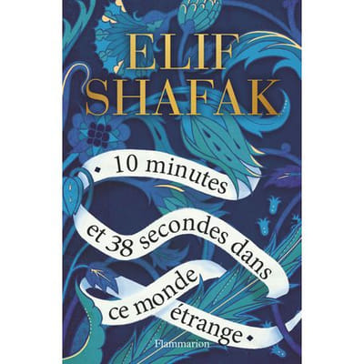 ISBN 10 minutes et 38 secondes dans ce monde étrange, Vue principale