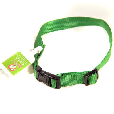 Collier Nylon Pour Chiens 19 mm - Vert, Vue principale