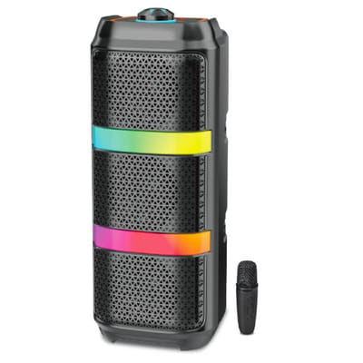 Haut Parleur bluetooth ZQS4305XW Avec micro sans fil - Noir, Vue principale