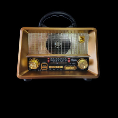 Haut Parleur Portable et Radio FM YG-227BT / Avec Lecteur Carte SD / Maroon, Vue principale